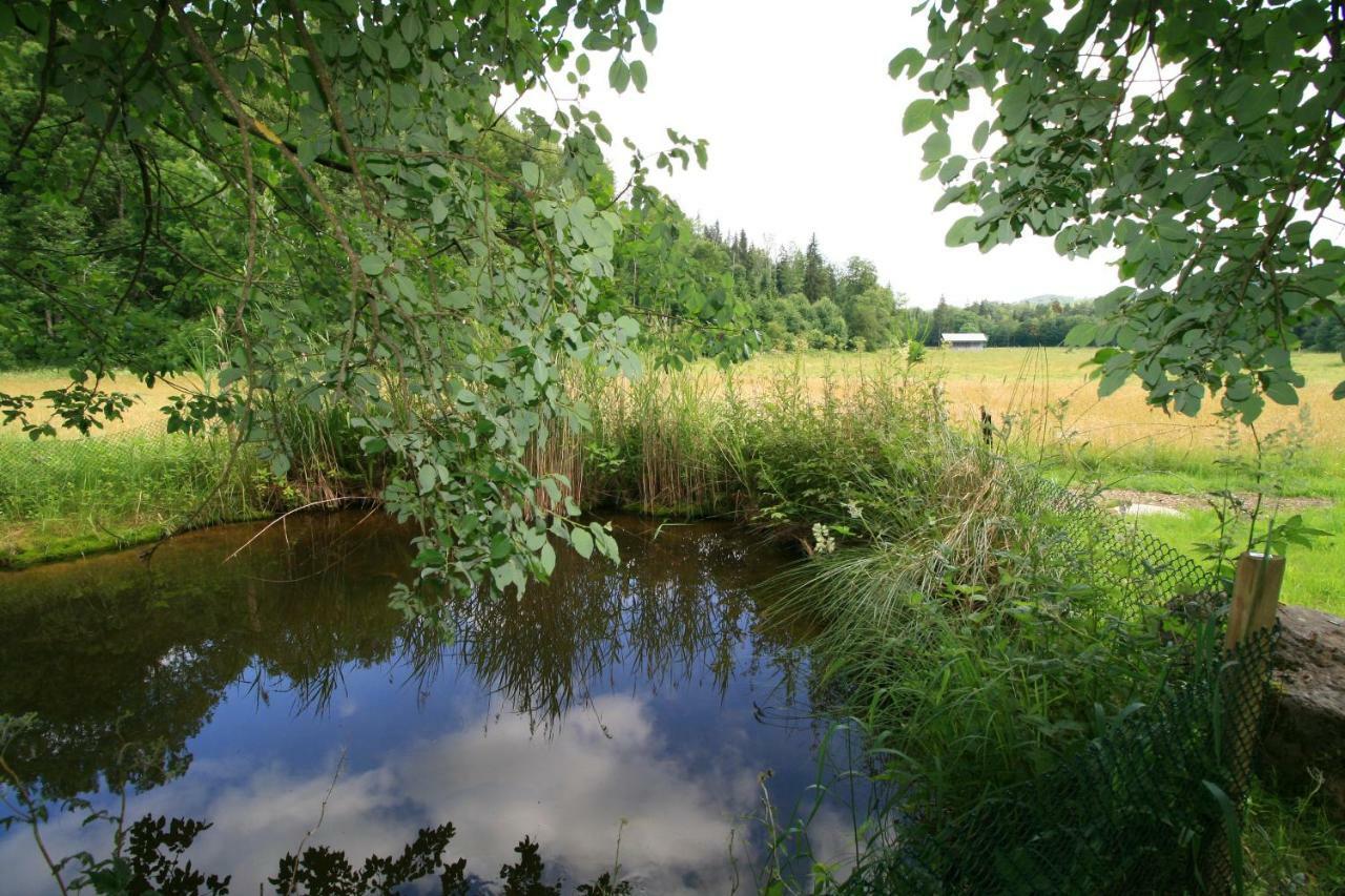 Landgasthof Auerschmiede Irschenberg Esterno foto
